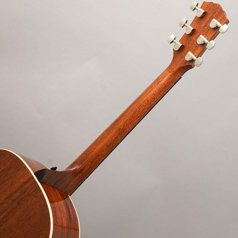 TAYLOR Gold Label 517e テイラー 画像9