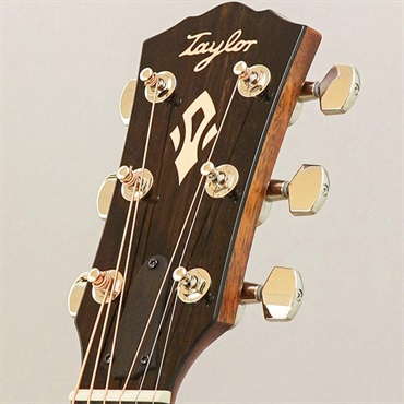 TAYLOR Gold Label 517e テイラー 画像10