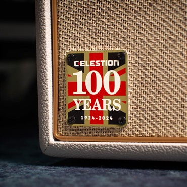 Marshall 【展示処分特価】　Celestion100周年記念限定モデル Studio JTM ST20HCC/ST112CC（アンプ ヘッド マーシャル） 画像4