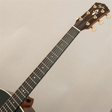 TAYLOR Gold Label 717e Blacktop テイラー 画像7