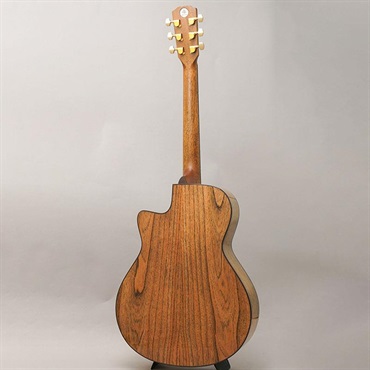 MORRIS 【Japan Forest Series】 S-JF SEN モーリス 画像3