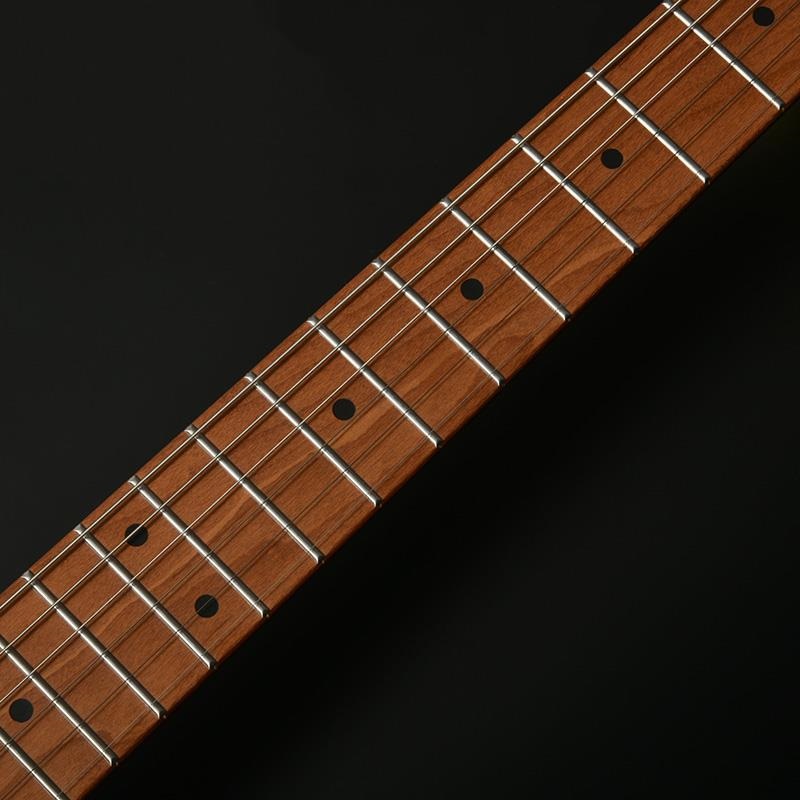 Bacchus Universe series BMS-1-RSM/M-TTPG (BLK) 画像1