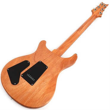 P.R.S. 【「THE IKEBE PRS VAULT」オープン記念キャンペーン】 S2 Special Semi-Hollow Reclaimed Limited (Natural) [SN.S2079505] 画像2