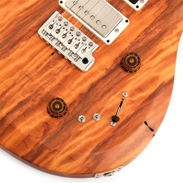 P.R.S. 【「THE IKEBE PRS VAULT」オープン記念キャンペーン】 S2 Special Semi-Hollow Reclaimed Limited (Natural) [SN.S2079505] 画像4