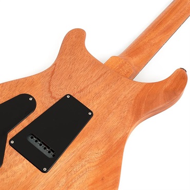 P.R.S. 【「THE IKEBE PRS VAULT」オープン記念キャンペーン】 S2 Special Semi-Hollow Reclaimed Limited (Natural) [SN.S2079505] 画像5