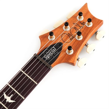 P.R.S. 【「THE IKEBE PRS VAULT」オープン記念キャンペーン】 S2 Special Semi-Hollow Reclaimed Limited (Natural) [SN.S2079505] 画像6