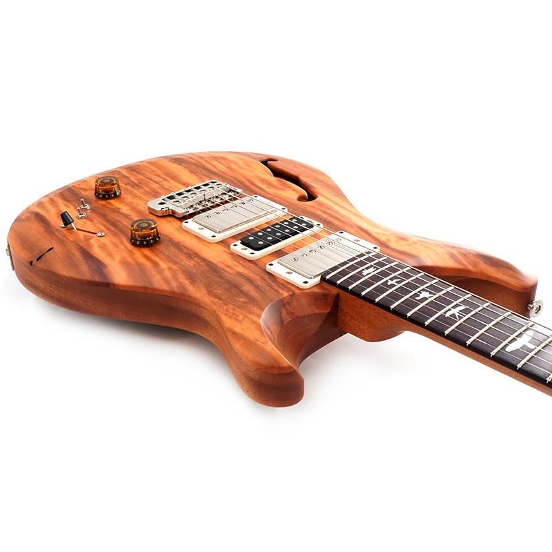 人生が変わり始めたきっかけ　PRSP　２枚 P.R.S. S2 Special Semi-Hollow Reclaimed Limited (Natural) [SN