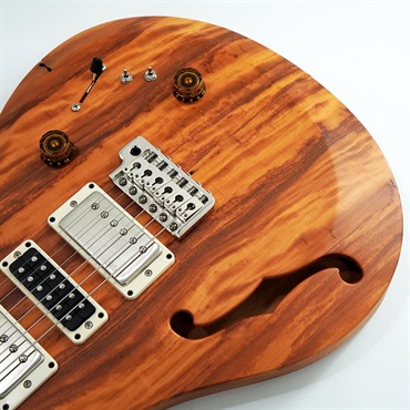 P.R.S. 【「THE IKEBE PRS VAULT」オープン記念キャンペーン】 S2 Special Semi-Hollow Reclaimed Limited (Natural) [SN.S2079505] 画像9