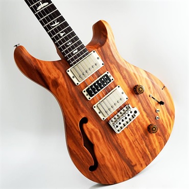 P.R.S. 【「THE IKEBE PRS VAULT」オープン記念キャンペーン】 S2 Special Semi-Hollow Reclaimed Limited (Natural) [SN.S2079505] 画像10