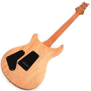 P.R.S. 【「THE IKEBE PRS VAULT」オープン記念キャンペーン】 S2 Special Semi-Hollow Reclaimed Limited (Natural) [SN.S2085093] 画像2