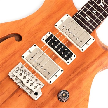 P.R.S. 【「THE IKEBE PRS VAULT」オープン記念キャンペーン】 S2 Special Semi-Hollow Reclaimed Limited (Natural) [SN.S2085093] 画像3