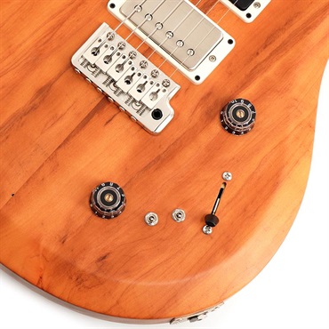 P.R.S. 【「THE IKEBE PRS VAULT」オープン記念キャンペーン】 S2 Special Semi-Hollow Reclaimed Limited (Natural) [SN.S2085093] 画像4