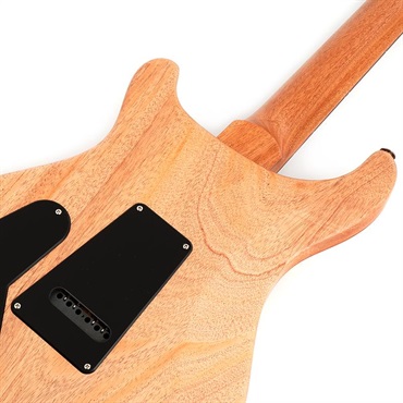 P.R.S. 【「THE IKEBE PRS VAULT」オープン記念キャンペーン】 S2 Special Semi-Hollow Reclaimed Limited (Natural) [SN.S2085093] 画像5