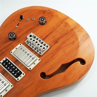 P.R.S. 【「THE IKEBE PRS VAULT」オープン記念キャンペーン】 S2 Special Semi-Hollow Reclaimed Limited (Natural) [SN.S2085093] 画像9