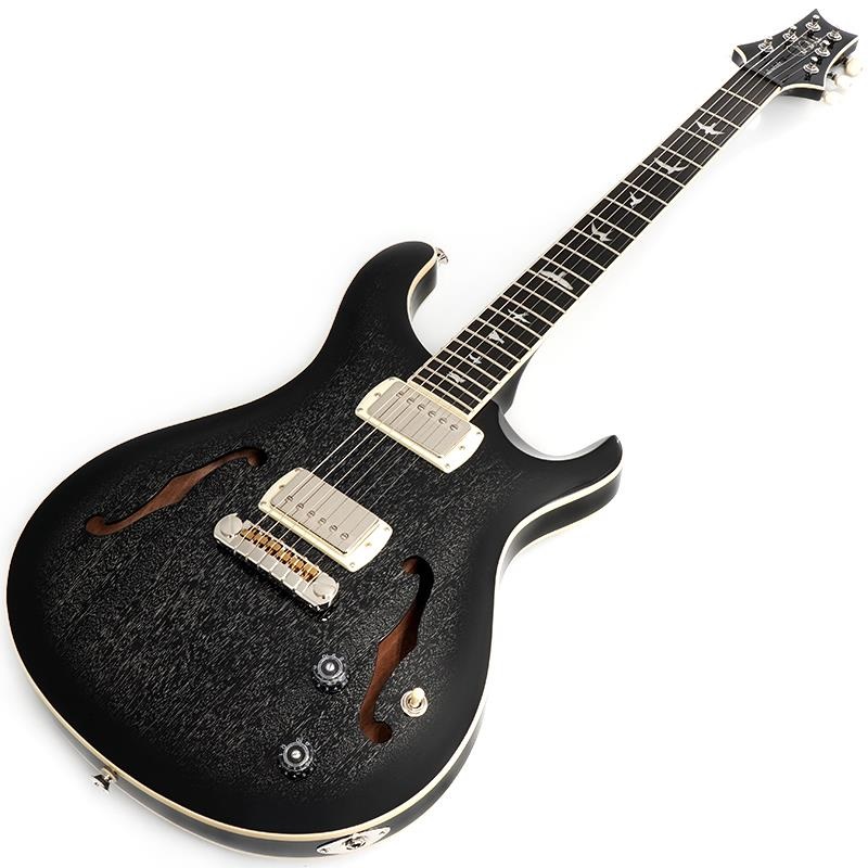 P.R.S. SE Hollowbody Standard (Dog Hair Smokeburst) CTCI04005