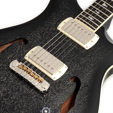 P.R.S. SE Hollowbody Standard (Dog Hair Smokeburst) CTCI04005 【2025年生産品】 画像3