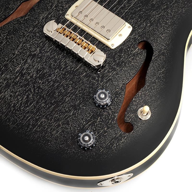 P.R.S. SE Hollowbody Standard (Dog Hair Smokeburst) ｜イケベ楽器店