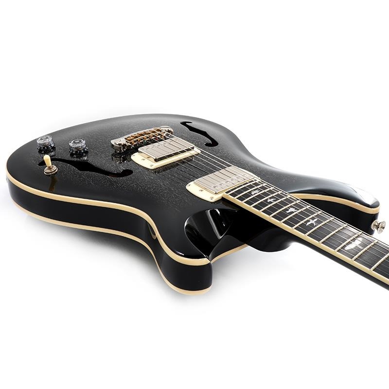P.R.S. SE Hollowbody Standard (Dog Hair Smokeburst) CTCI04005
