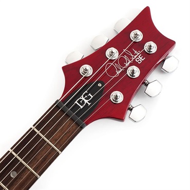 P.R.S. SE DGT Standard (Vintage Cherry) CTIH053341 【2025年生産品】 画像6
