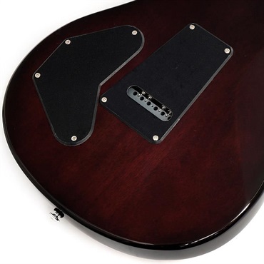 P.R.S. SE DGT Standard (McCarty Tobacco Sunburst) 画像7