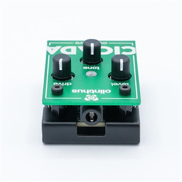 olinthus CICADA（オーバードライブ） ｜イケベ楽器店オンラインストア