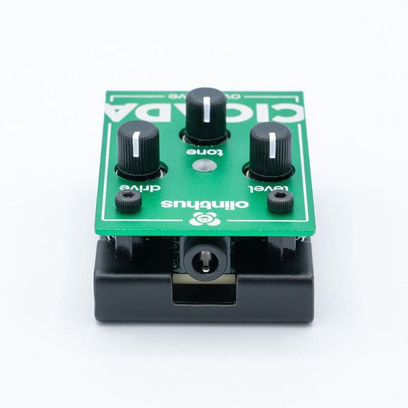 olinthus CICADA（オーバードライブ） ｜イケベ楽器店オンラインストア