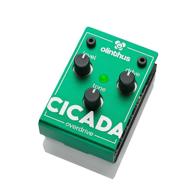 olinthus CICADA（オーバードライブ） ｜イケベ楽器店オンラインストア