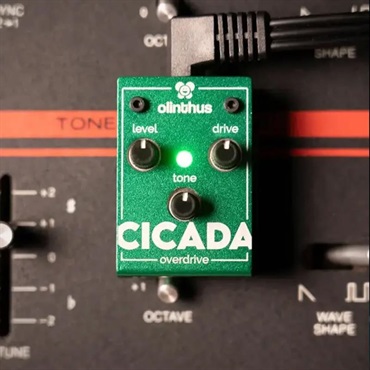 olinthus CICADA（オーバードライブ） ｜イケベ楽器店オンラインストア