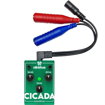 olinthus CICADA（オーバードライブ） ｜イケベ楽器店オンラインストア