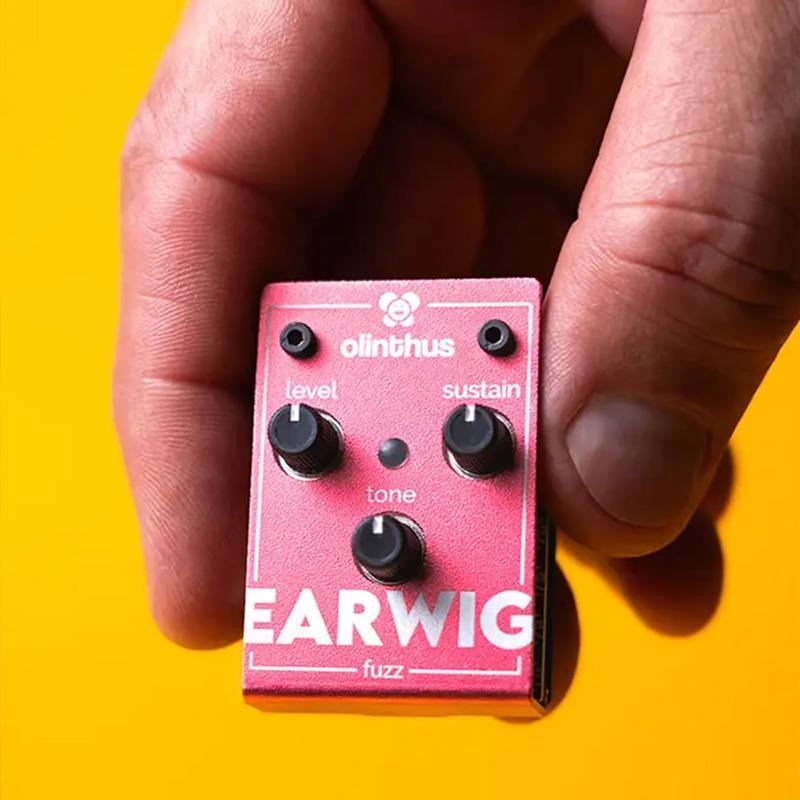 olinthus EARWIG（ファズ） 画像3