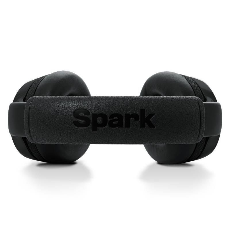 Positive Grid Spark NEO Core（ポジティブ ポジティヴ グリッド） 画像4