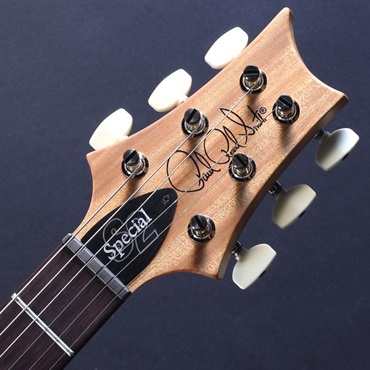 P.R.S. 【「THE IKEBE PRS VAULT」オープン記念キャンペーン】 S2 Special Semi-Hollow Reclaimed Limited (Natural) #S2085343【2025年生産品】 画像4