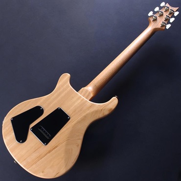 P.R.S. 【「THE IKEBE PRS VAULT」オープン記念キャンペーン】 S2 Special Semi-Hollow Reclaimed Limited (Natural) #S2085344【2025年生産品】 画像5