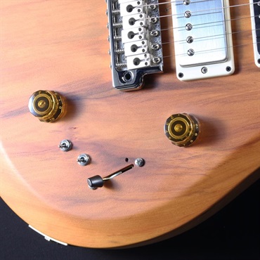 P.R.S. 【「THE IKEBE PRS VAULT」オープン記念キャンペーン】 S2 Special Semi-Hollow Reclaimed Limited (Natural) #S2085344【2025年生産品】 画像6