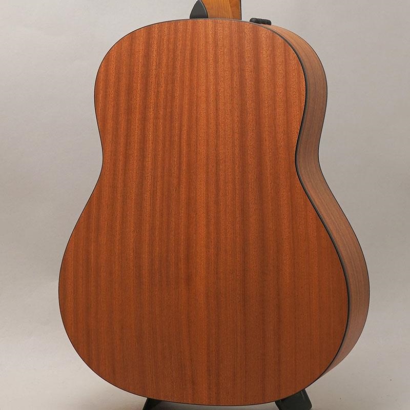 TAYLOR 【特価】 117e テイラー 画像1