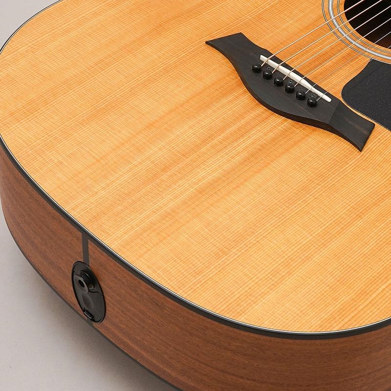 TAYLOR 【特価】 117e テイラー 画像7