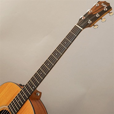 TAYLOR 【特価】 117e テイラー 画像8