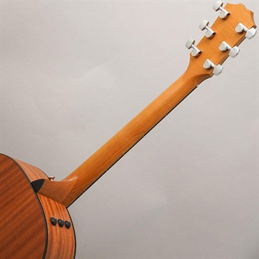 TAYLOR 【特価】 117e テイラー 画像9