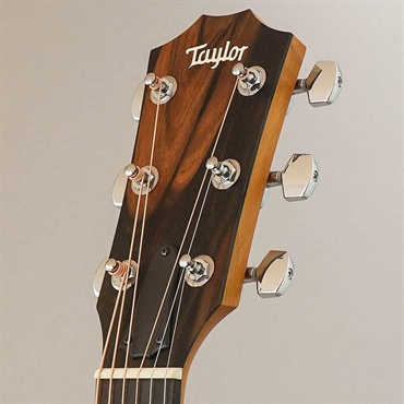 TAYLOR 【特価】 117e テイラー 画像10