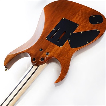 Ibanez Ikebe 50th Anniversary j.custom IKRG85703 (Hawaiian Koa Top) SN.F2506400 画像6