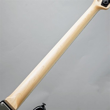 BLACK SMOKER Standard Series Beta J4 (Black Metallic/Block) 画像5