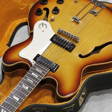 Epiphone VINTAGE E-360TD Riviera '67 画像5