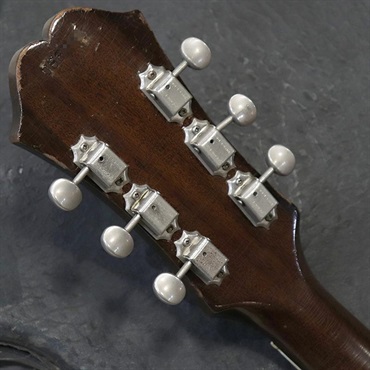 Epiphone VINTAGE E-360TD Riviera '67 画像9