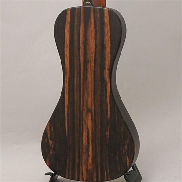 Bromo Guitars BAR3 画像1