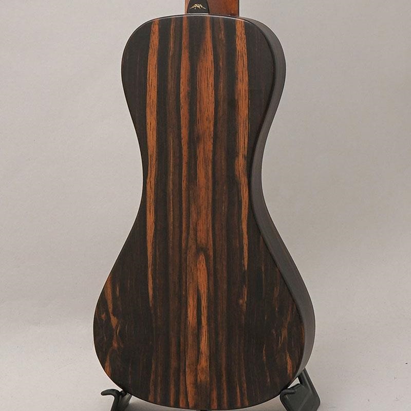 Bromo Guitars BAR3 画像1