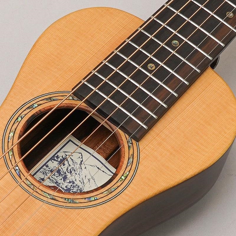 Bromo Guitars BAR3 画像6