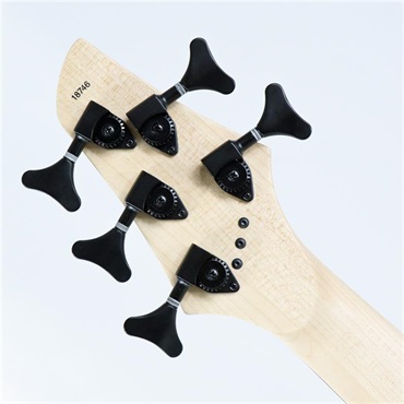 DINGWALL JT-3 5st John Taylor Signature Model (Seafoam Green/PF) #18746 画像7