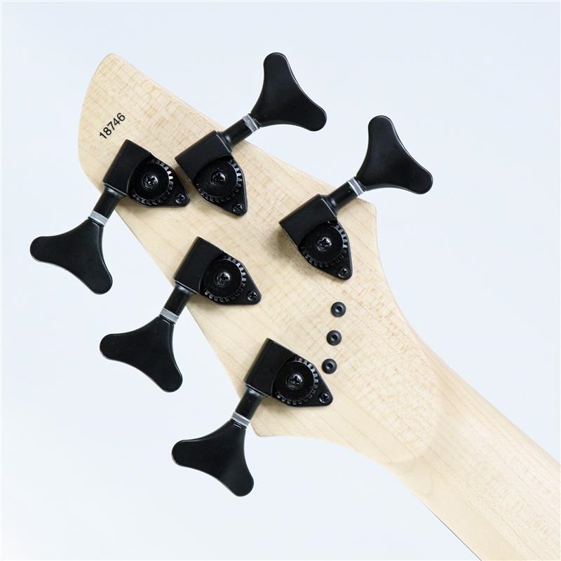 DINGWALL JT-3 5st John Taylor Signature Model (Seafoam Green/PF) #18746 画像7