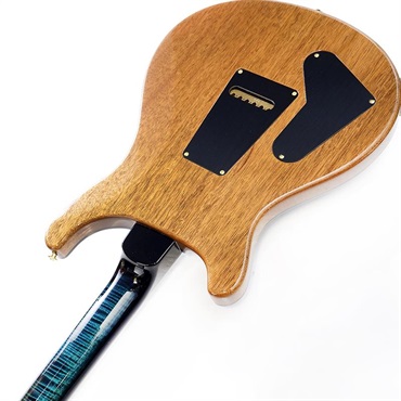 P.R.S. Ikebe 50th Anniversary Wood Library Special Semi-Hollow (Custom Color) SN.0401655 画像6