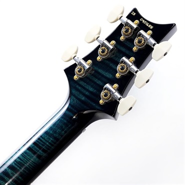 P.R.S. Ikebe 50th Anniversary Wood Library Special Semi-Hollow (Custom Color) SN.0401655 画像9